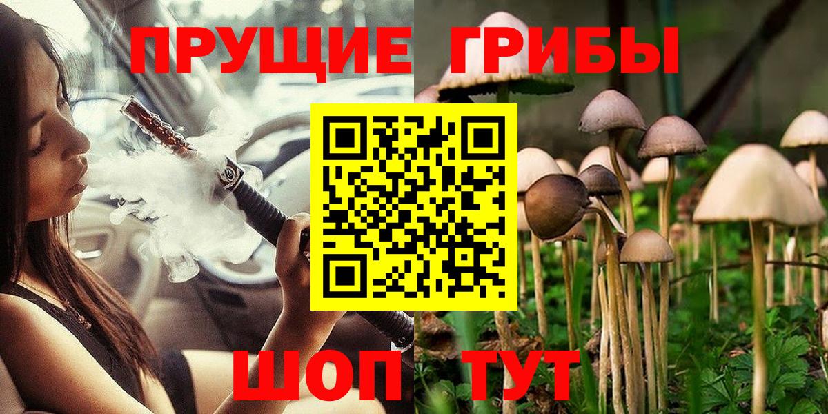 Псилоцибиновые грибы Psilocybine cubensis  Вход с VPN  Псилоцибиновые грибы ЛСД  Клинцы 
